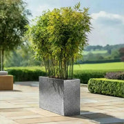 80cm Long Zinc Galvanised Silver & Black Textured 60cm Tall Trough Planter